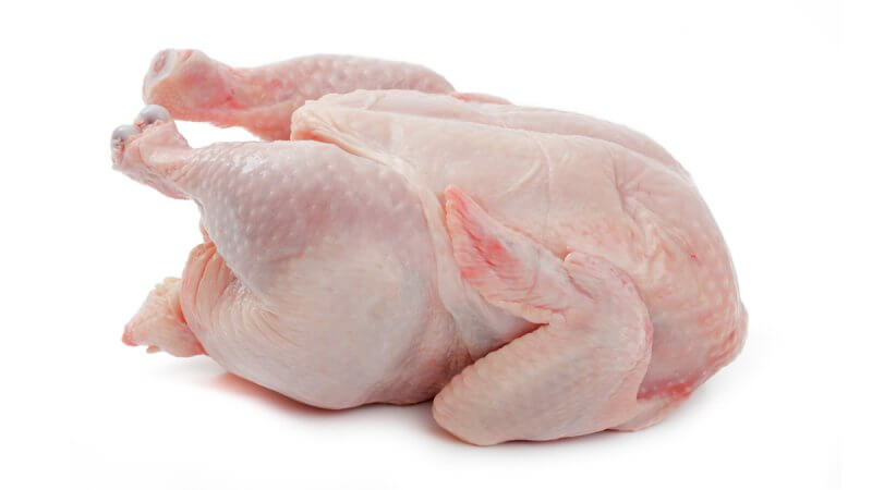 supplier daging ayam